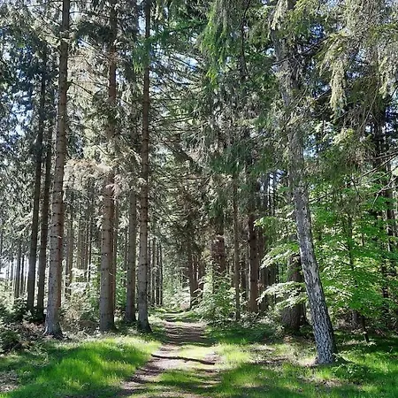 Delux Marina Apartament *